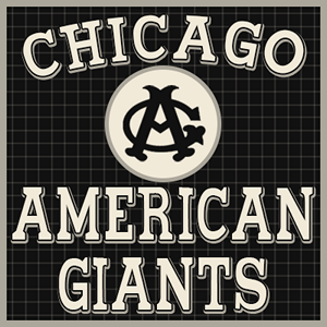 team logo