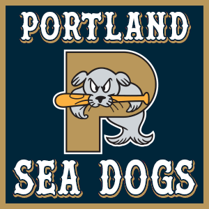 team logo